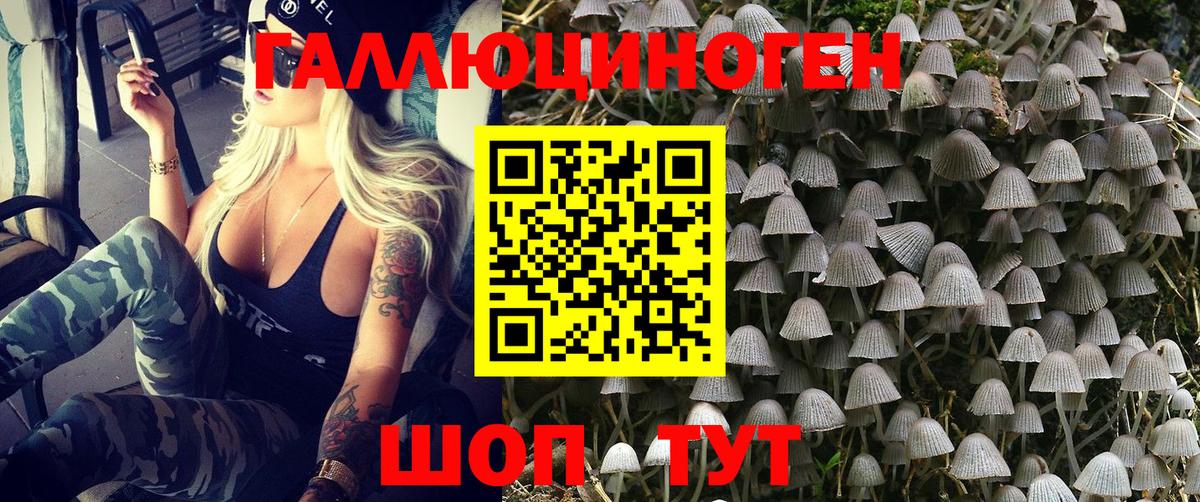 Псилоцибиновые грибы Cubensis Медногорск