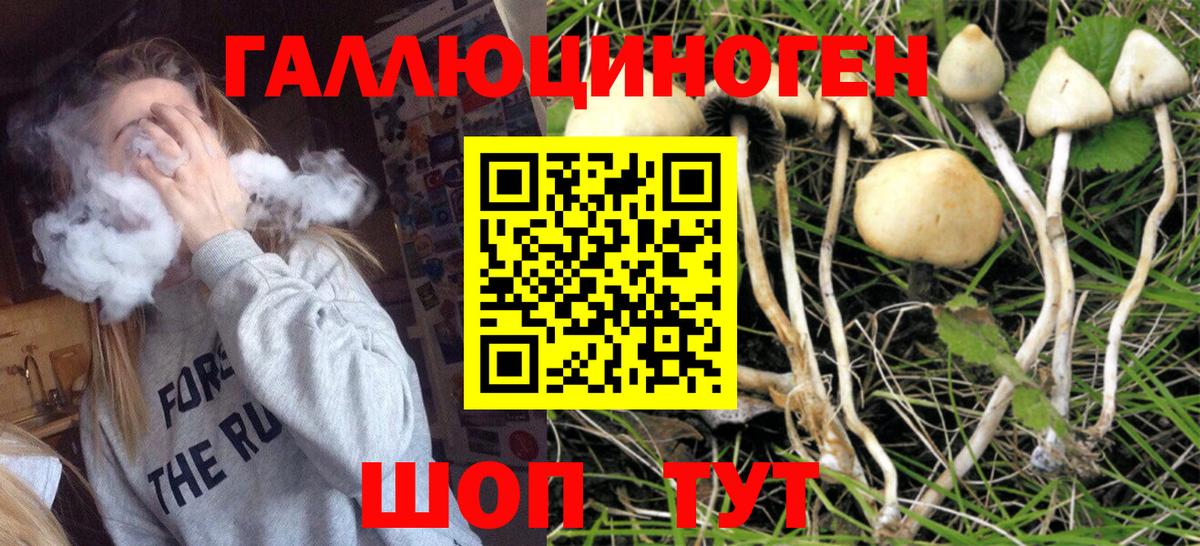 Медногорск  Галлюциногенные грибы MAGIC MUSHROOMS  Вход с VPN 